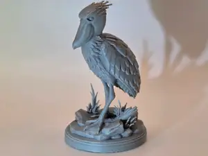 Shoebill Stork – Tiere aus aller Welt