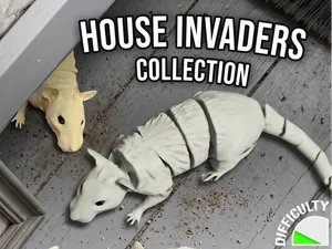 House Invaders - Rat
