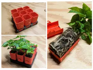 Seed/Planter Starter Cups and Tray (Self-Watering)
