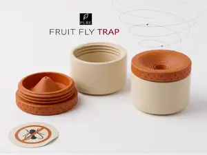 Fruit Fly Trap