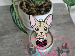 Sphynx Cat Can Tab Opener