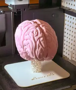 Human Brain for Voronoi stand