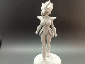 Female Super Saiyan Warrior - Dragon Ball Anime