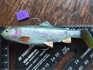J-Hook cover for soft baits that CLICKS!