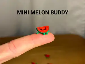 Mini Melon Buddy