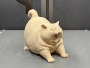 Angry Fat Cat