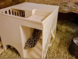 Rephausa | Luxurious Reptile Hide