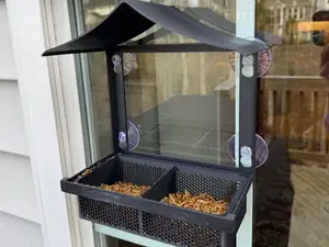 Bird Feeder that attaches to a window