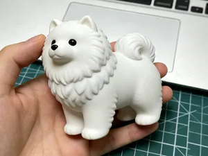 萨摩耶