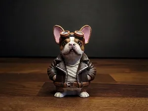 Coole Bulldogge mit Fliegerbrille & Lederjacke