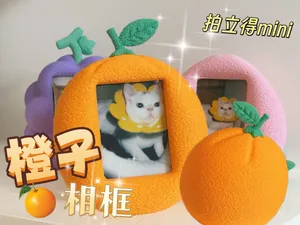 水果相框—橙子（mini拍立得）