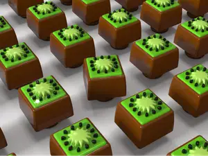 Kiwi Accessories