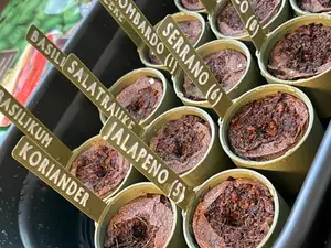 Organizer Seed Starter Soil Pods Plugs for Vegetable Seedling Signs / Cocos Pods / Plant Sign Tag