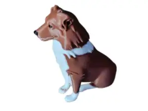 sheltie dog