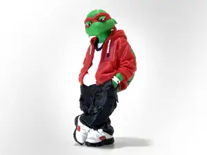 Urban Ninja Turtle