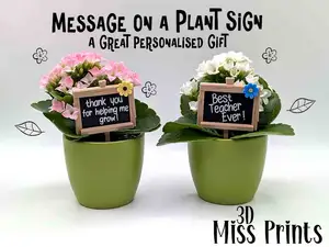 Teacher Gift "Message on a Plant Sign"