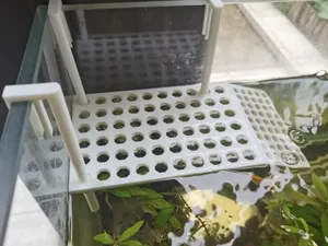 乌龟晒台