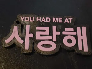 You had me at Saranghae
