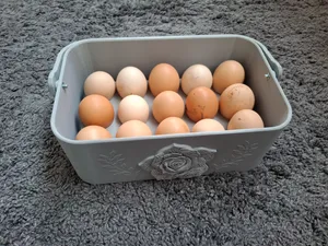 Decorative Egg Basket with handle