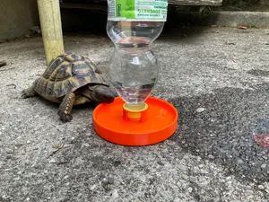 Abbeveratoio per tartaruga - con bottiglia d'acqua