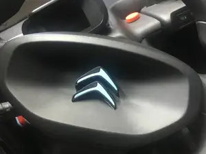 AMI CITROEN FLYING LOGO - PLA GLOW