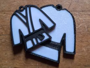 KARATE/JUDO KEYCHAIN - Remix