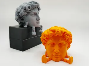 Articulated Statue of David's Head Fun Print