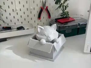 Cute Cat in a Box | If I Fits I Sits Figurine