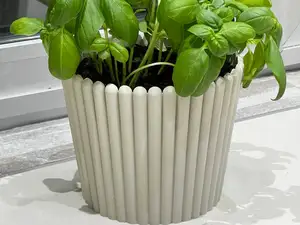 Coprivaso per piante o fiori parametrico colonne
