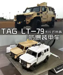 TAG LT-79装甲车 防爆巡逻运兵车 军事装备
