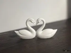 Love Swans
