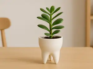 Tooth-Shaped Planter – Pot for Succulents - Decor