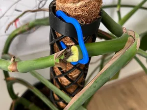 Wavy Moss Pole / Climbing Plant Clip (Parametric)