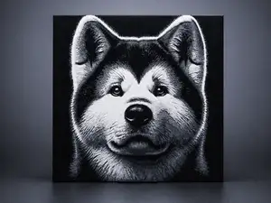Akita Inu dog