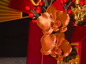 蝴蝶兰带枝(拓竹官方丝绸耗材)