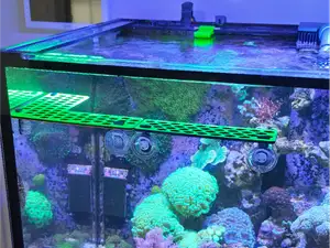 Ablegerdeck mit Saugnapf,Fragplug Board Meerwasser