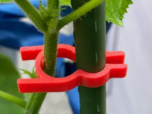植物爬藤定位夹子