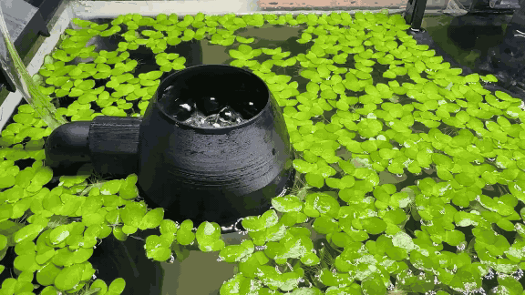 Attachment for double sponge filter outlet