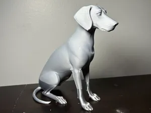 The Noble Sighthound: Sleek Minimalist Dog Decor