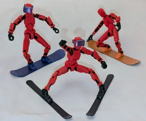 Skis and Snowboard for Dummy 13