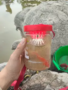 Fish catching artifact（捕鱼神器）