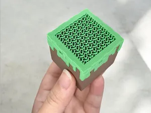 貓咪鬍鬚搜集器 Minecraft 我的世界