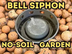 Bell Siphon for Aquaponics
