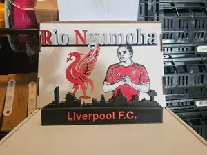 Premier League - Liverpool FC Rio Ngumoha display