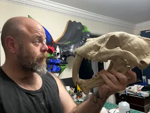 Lifesize Sabertooth Tiger Skull (Smilodon)