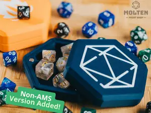 HexGuard Dice Storage Box | TTRPG D&D