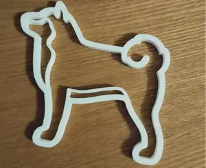 Shiba / Akita Inu dog