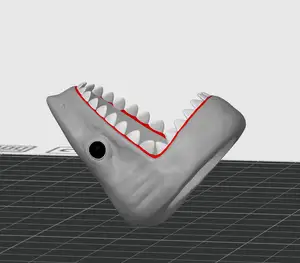 Shark Ring