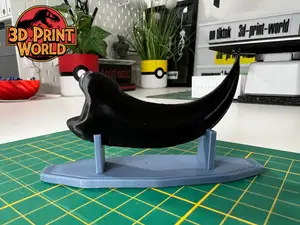 Velociraptor Claw - Claw from a Raptor - Dinosaur