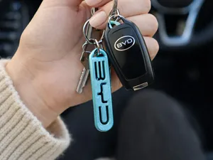 BYD keychain